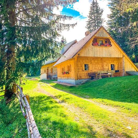 Chalet Ivi Villa Zgornje Gorje Bagian luar foto