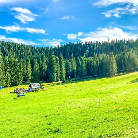 Chalet Ivi Villa Zgornje Gorje Bagian luar foto