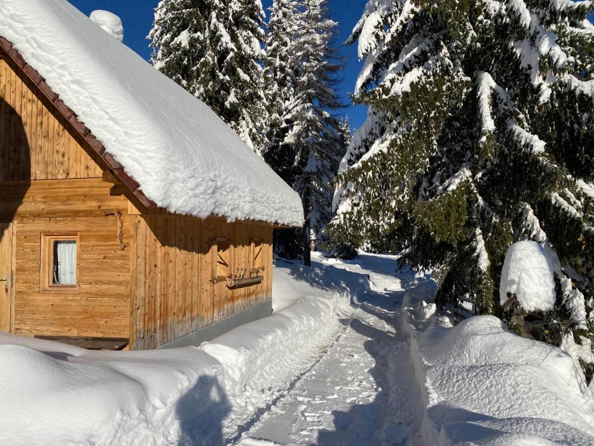 Chalet Ivi Villa Zgornje Gorje Bagian luar foto