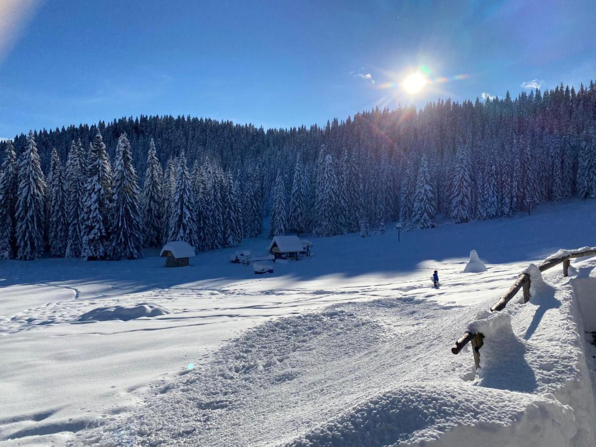 Chalet Ivi Villa Zgornje Gorje Bagian luar foto