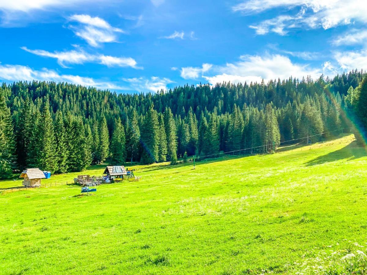 Chalet Ivi Villa Zgornje Gorje Bagian luar foto